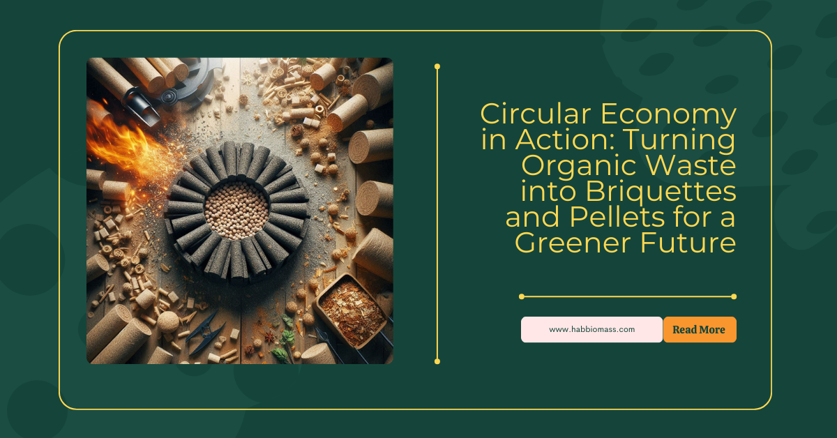 Circular Economy in Action: Turning Organic Waste into Briquettes and Pellets for a Greener Future