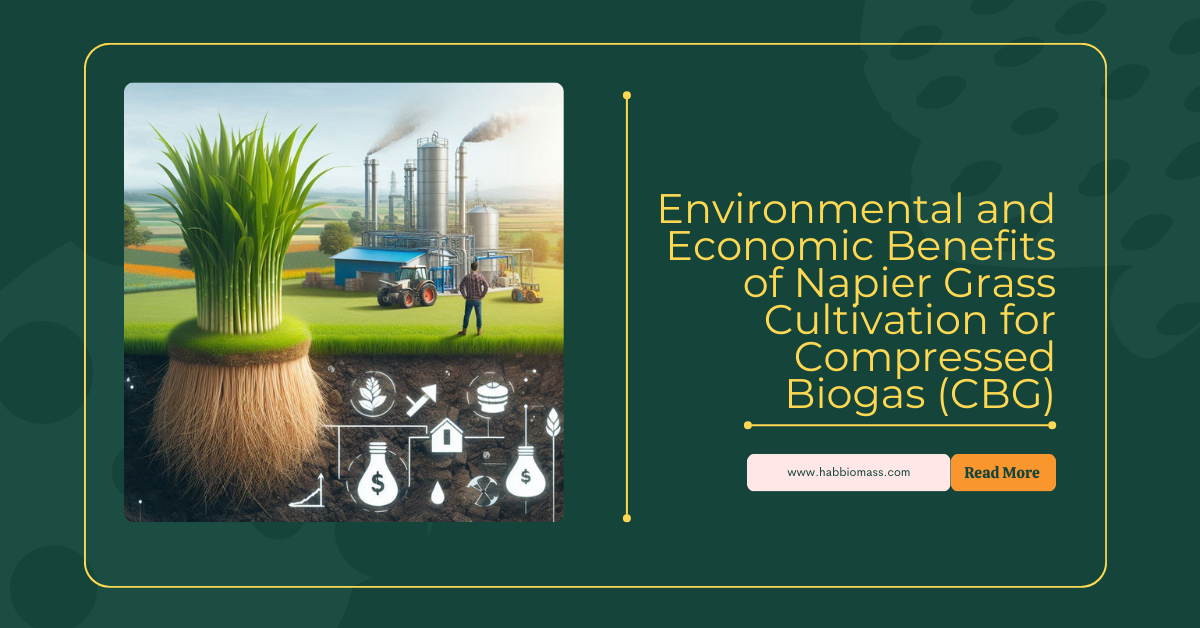 Environmental and Economic Benefits of Napier Grass Cultivation for Compressed Biogas (CBG)